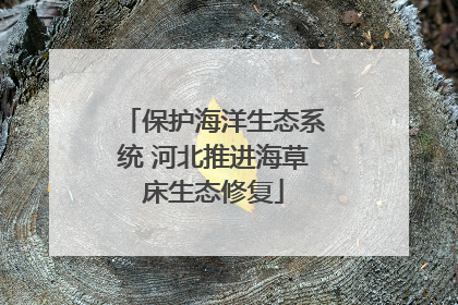 保护海洋生态系统 河北推进海草床生态修复