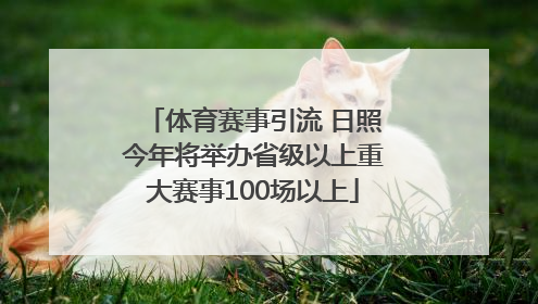 体育赛事引流 日照今年将举办省级以上重大赛事100场以上