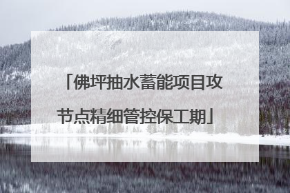 佛坪抽水蓄能项目攻节点精细管控保工期