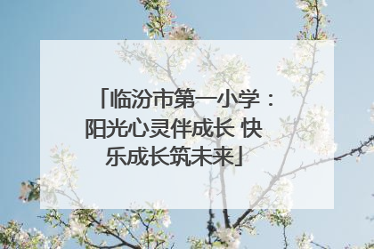 临汾市第一小学：阳光心灵伴成长 快乐成长筑未来