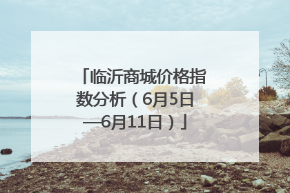 临沂商城价格指数分析（6月5日—6月11日）