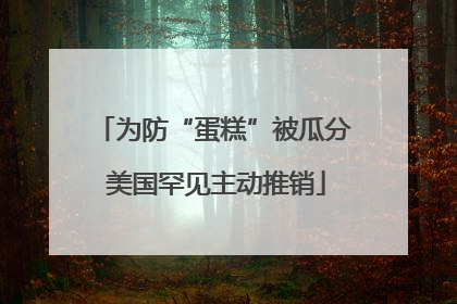 为防“蛋糕”被瓜分 美国罕见主动推销