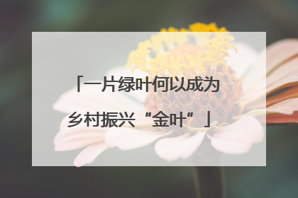 一片绿叶何以成为乡村振兴“金叶”