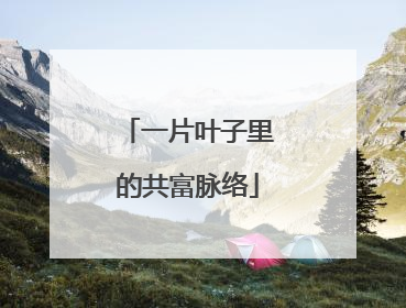 一片叶子里的共富脉络