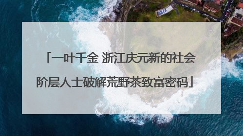 一叶千金 浙江庆元新的社会阶层人士破解荒野茶致富密码