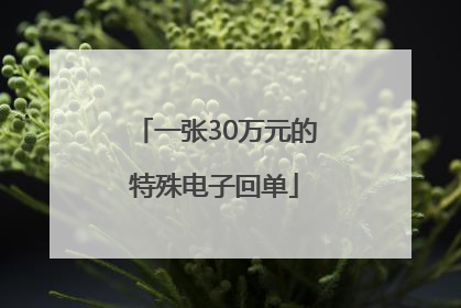 一张30万元的特殊电子回单