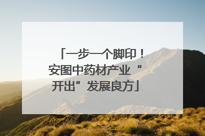 一步一个脚印！安图中药材产业“开出”发展良方