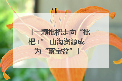 一颗枇杷走向“枇杷+” 山海资源成为“聚宝盆”