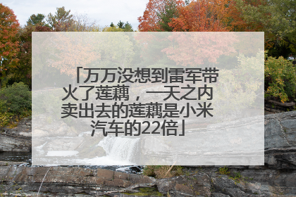 万万没想到雷军带火了莲藕，一天之内卖出去的莲藕是小米汽车的22倍