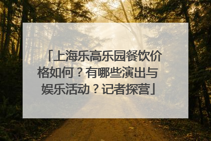 上海乐高乐园餐饮价格如何？有哪些演出与娱乐活动？记者探营