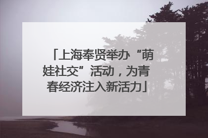 上海奉贤举办“萌娃社交”活动，为青春经济注入新活力