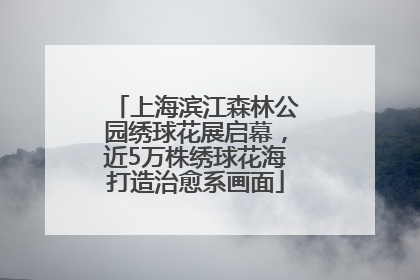 上海滨江森林公园绣球花展启幕，近5万株绣球花海打造治愈系画面