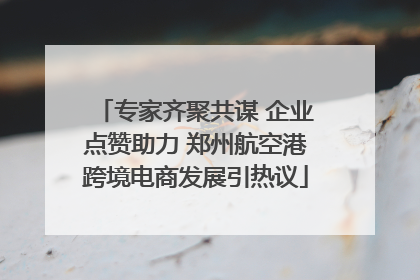 专家齐聚共谋 企业点赞助力 郑州航空港跨境电商发展引热议