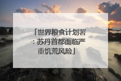 世界粮食计划署：苏丹首都面临严重饥荒风险