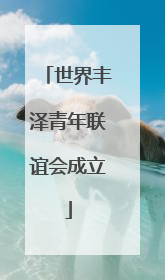 世界丰泽青年联谊会成立