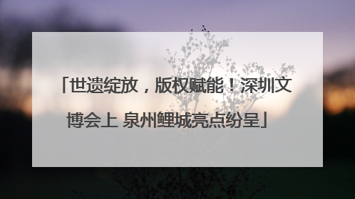 世遗绽放，版权赋能！深圳文博会上 泉州鲤城亮点纷呈