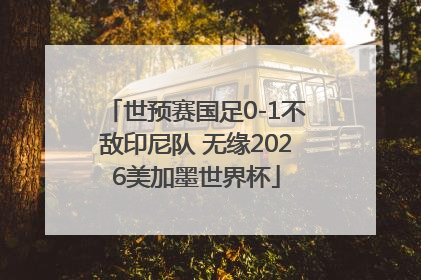 世预赛国足0-1不敌印尼队 无缘2026美加墨世界杯