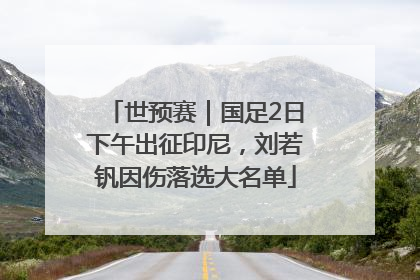 世预赛｜国足2日下午出征印尼，刘若钒因伤落选大名单