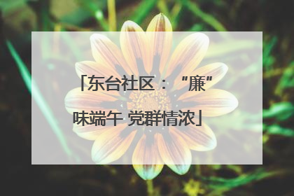 东台社区：“廉”味端午 党群情浓