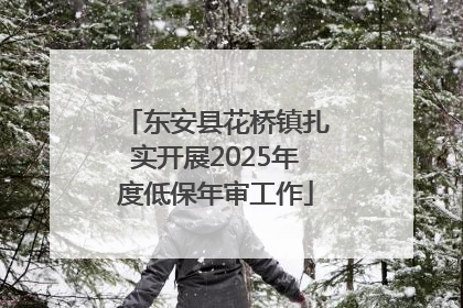 东安县花桥镇扎实开展2025年度低保年审工作