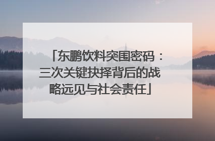东鹏饮料突围密码：三次关键抉择背后的战略远见与社会责任