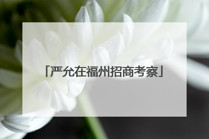 严允在福州招商考察