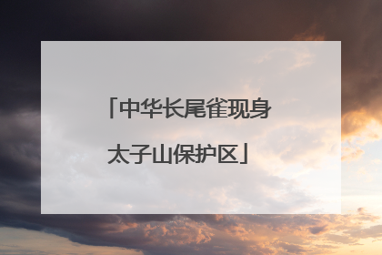 中华长尾雀现身太子山保护区