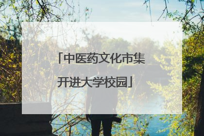 中医药文化市集开进大学校园