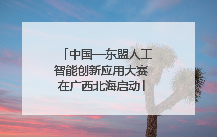 中国—东盟人工智能创新应用大赛在广西北海启动