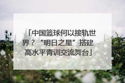 中国篮球何以接轨世界？“明日之星”搭建高水平青训交流舞台