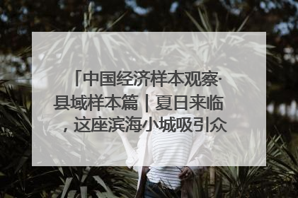 中国经济样本观察·县域样本篇｜夏日来临，这座滨海小城吸引众多年轻人打卡……