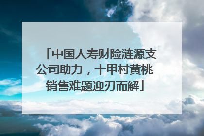 中国人寿财险涟源支公司助力，十甲村黄桃销售难题迎刃而解