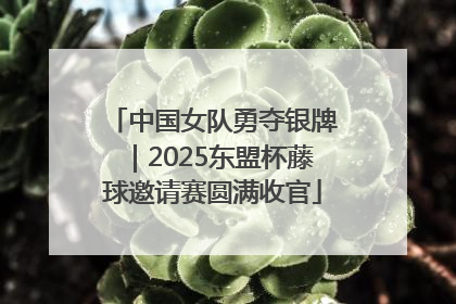 中国女队勇夺银牌｜2025东盟杯藤球邀请赛圆满收官