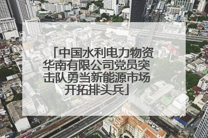 中国水利电力物资华南有限公司党员突击队勇当新能源市场开拓排头兵