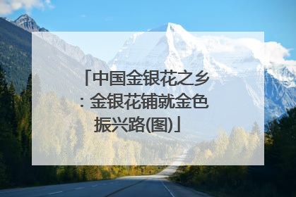 中国金银花之乡：金银花铺就金色振兴路(图)