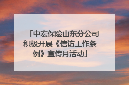 中宏保险山东分公司积极开展《信访工作条例》宣传月活动