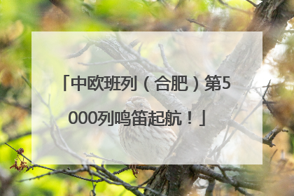 中欧班列（合肥）第5000列鸣笛起航！