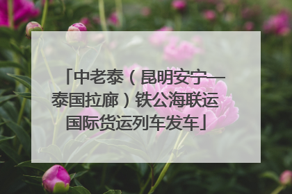 中老泰（昆明安宁—泰国拉廊）铁公海联运国际货运列车发车