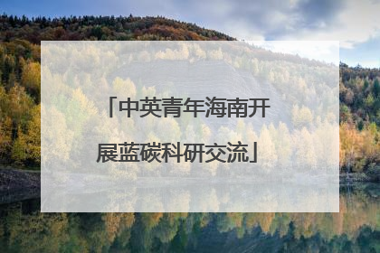 中英青年海南开展蓝碳科研交流