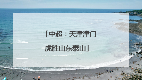 中超：天津津门虎胜山东泰山