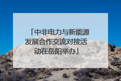 中非电力与新能源发展合作交流对接活动在岳阳举办