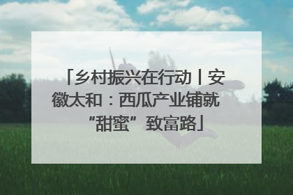 乡村振兴在行动丨安徽太和：西瓜产业铺就“甜蜜”致富路