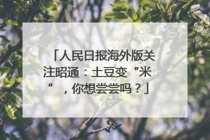 人民日报海外版关注昭通：土豆变“米”，你想尝尝吗？