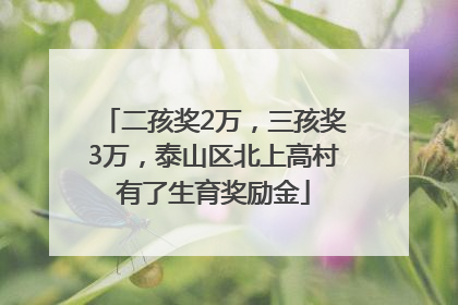 二孩奖2万，三孩奖3万，泰山区北上高村有了生育奖励金