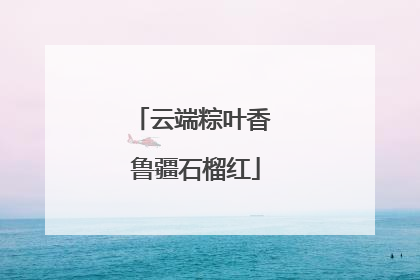 云端粽叶香 鲁疆石榴红