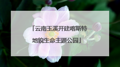 云南玉溪开建喀斯特地貌生命主题公园