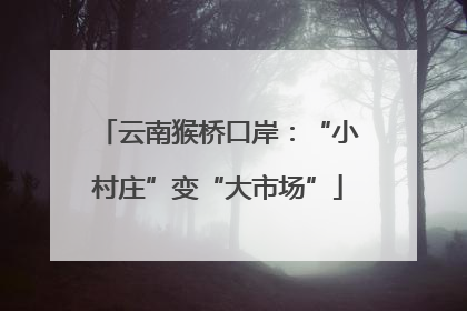 云南猴桥口岸：“小村庄”变“大市场”