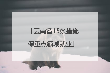 云南省15条措施保重点领域就业