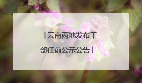 云南两地发布干部任前公示公告