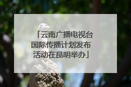 云南广播电视台国际传播计划发布活动在昆明举办